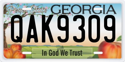 GA license plate QAK9309