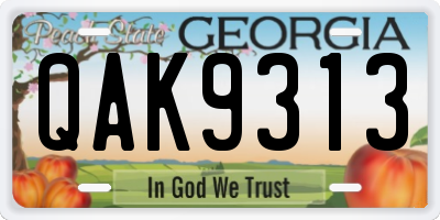GA license plate QAK9313