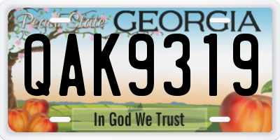GA license plate QAK9319