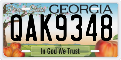 GA license plate QAK9348
