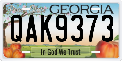 GA license plate QAK9373