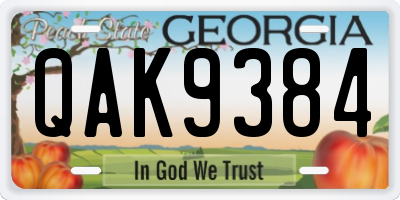 GA license plate QAK9384