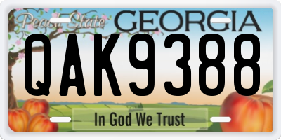 GA license plate QAK9388