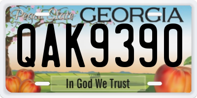 GA license plate QAK9390