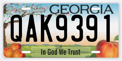 GA license plate QAK9391