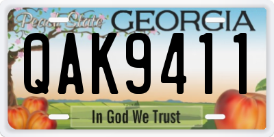 GA license plate QAK9411