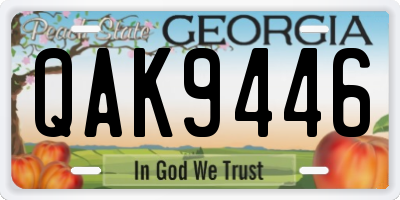 GA license plate QAK9446