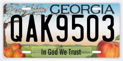 GA license plate QAK9503