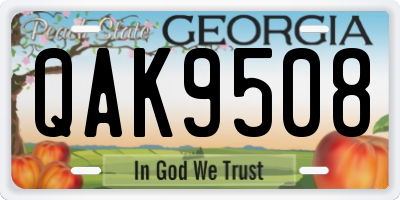 GA license plate QAK9508