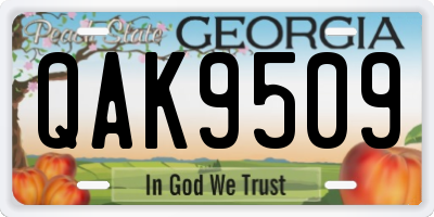 GA license plate QAK9509