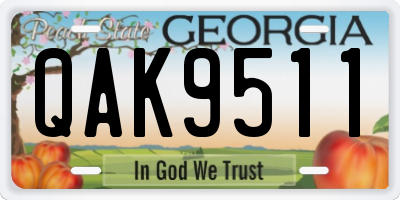 GA license plate QAK9511
