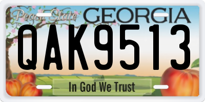 GA license plate QAK9513