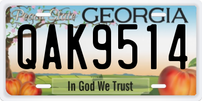 GA license plate QAK9514