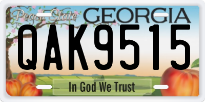 GA license plate QAK9515