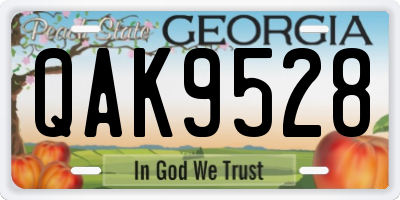 GA license plate QAK9528