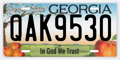 GA license plate QAK9530