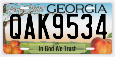 GA license plate QAK9534