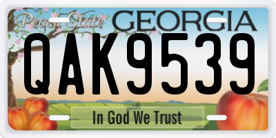 GA license plate QAK9539
