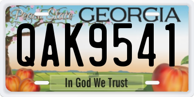 GA license plate QAK9541