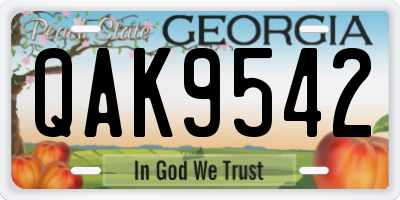 GA license plate QAK9542