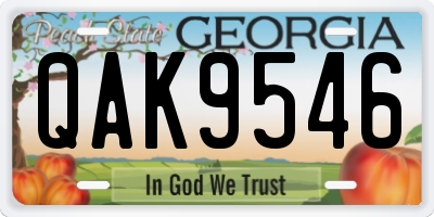 GA license plate QAK9546