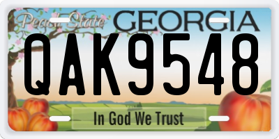 GA license plate QAK9548