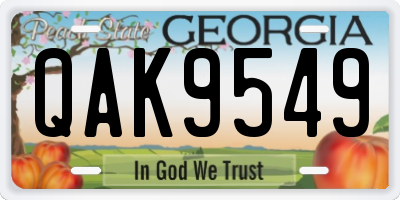 GA license plate QAK9549