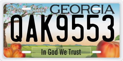 GA license plate QAK9553