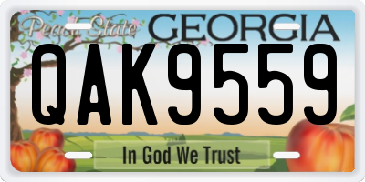 GA license plate QAK9559