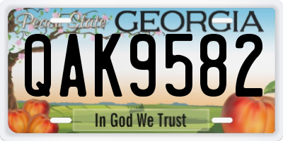 GA license plate QAK9582