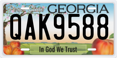 GA license plate QAK9588