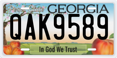 GA license plate QAK9589