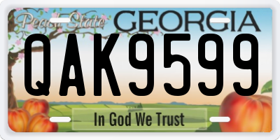 GA license plate QAK9599