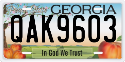 GA license plate QAK9603