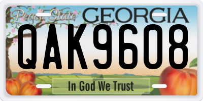 GA license plate QAK9608