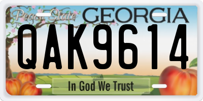 GA license plate QAK9614