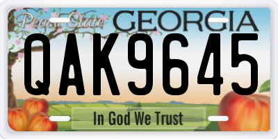 GA license plate QAK9645