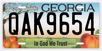 GA license plate QAK9654