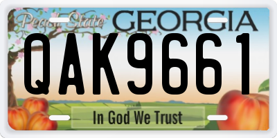 GA license plate QAK9661