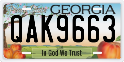 GA license plate QAK9663