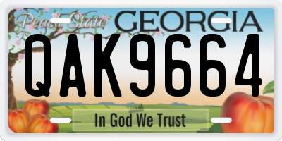 GA license plate QAK9664