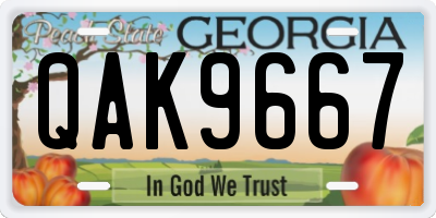 GA license plate QAK9667