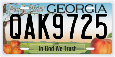 GA license plate QAK9725