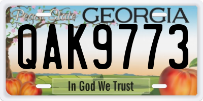 GA license plate QAK9773
