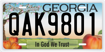 GA license plate QAK9801