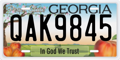 GA license plate QAK9845
