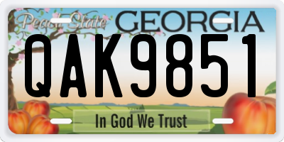 GA license plate QAK9851