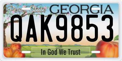 GA license plate QAK9853