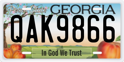GA license plate QAK9866