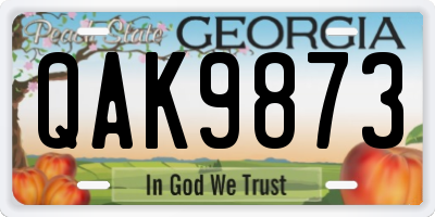 GA license plate QAK9873
